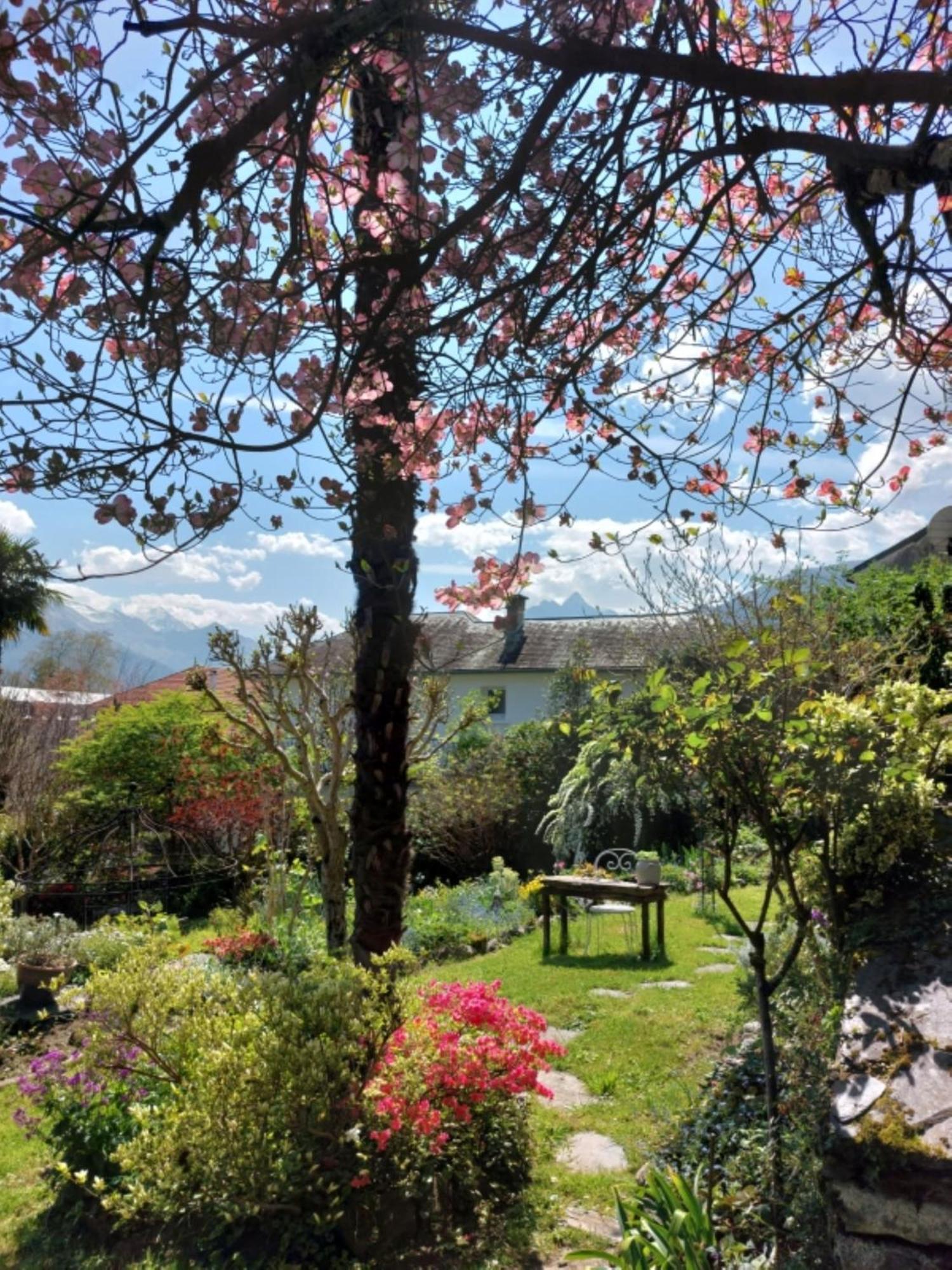 Logis Hotel Beau Site Argeles-Gazost Bagian luar foto
